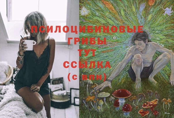 MDMA Переславль-Залесский