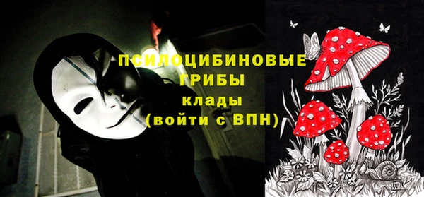 MDMA Переславль-Залесский